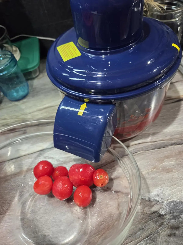 Priya, Bangalore review photo