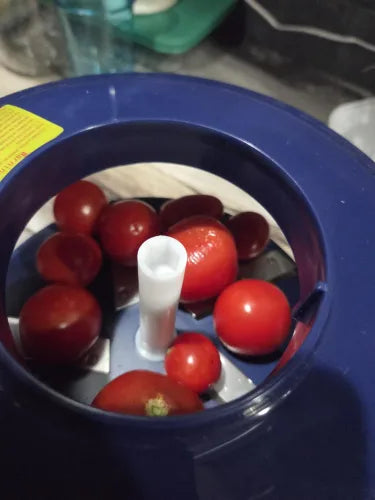 Renjini pp review photo